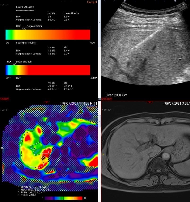 Research Focus Areas