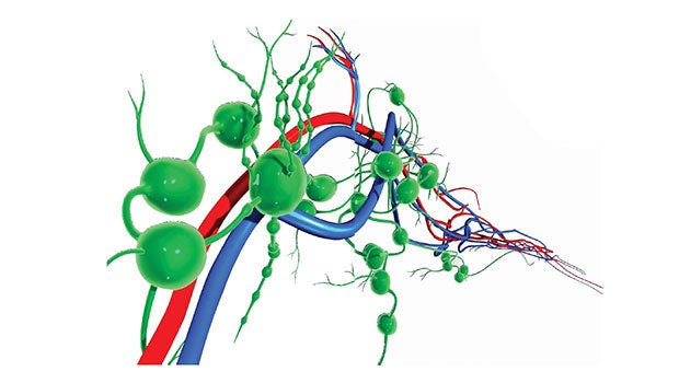 Approach to an Adult with Lymphadenopathy in Primary Care - SingHealth Duke-NUS Blood Cancer Centre