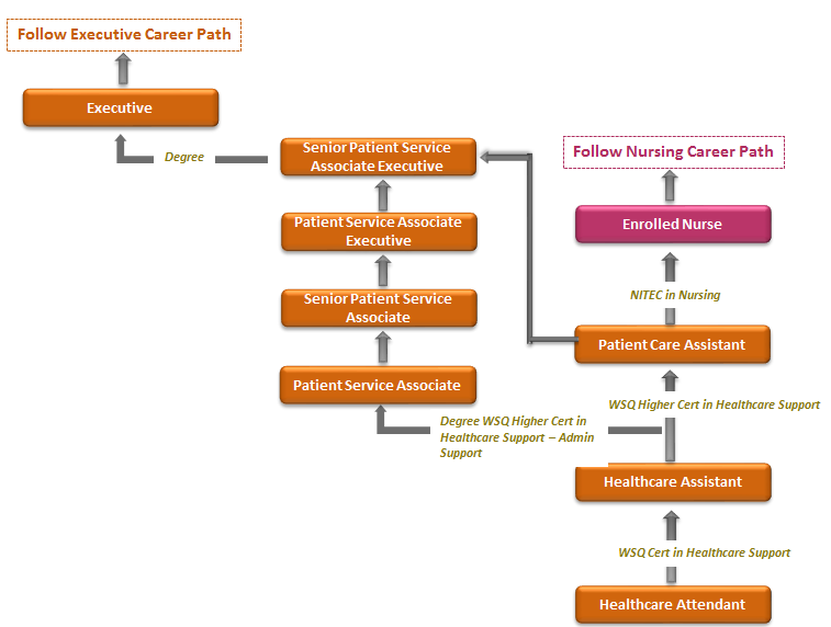 Career Path Ancillary Position
