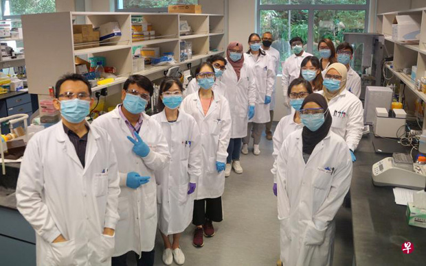  ​新加坡生物科技公司Tychan所研发的治疗冠病的单克隆抗体药，已获准进行临床试验。公司将对1305名冠病病患进行研究，查看药物是否能减缓病情恶化以及加速康复。图为参与研发的Tychan团队。（Tychan公司提供）