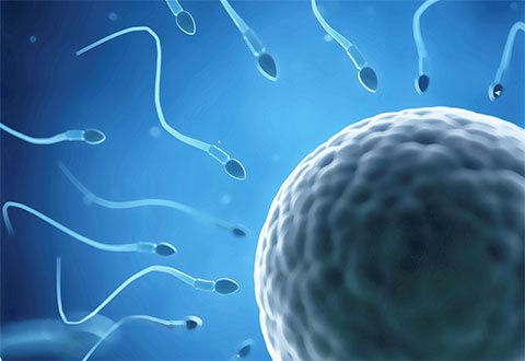 uses of IVF as a fertility treatment