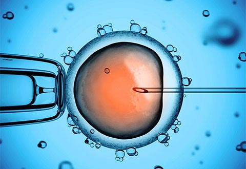 how does IVF works as a fertility treatment