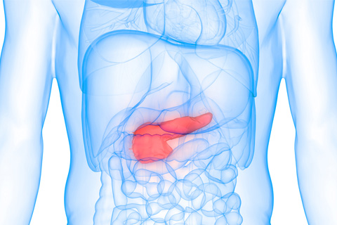 pancreatic endocrine tumours conditions and treatments