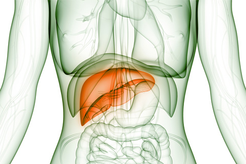 primary liver cancer hepatocellular carcinoma conditions and treatments