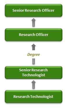career path researcher