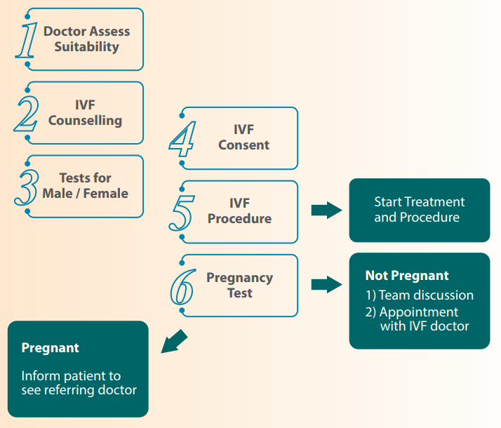 Workflow for IVF